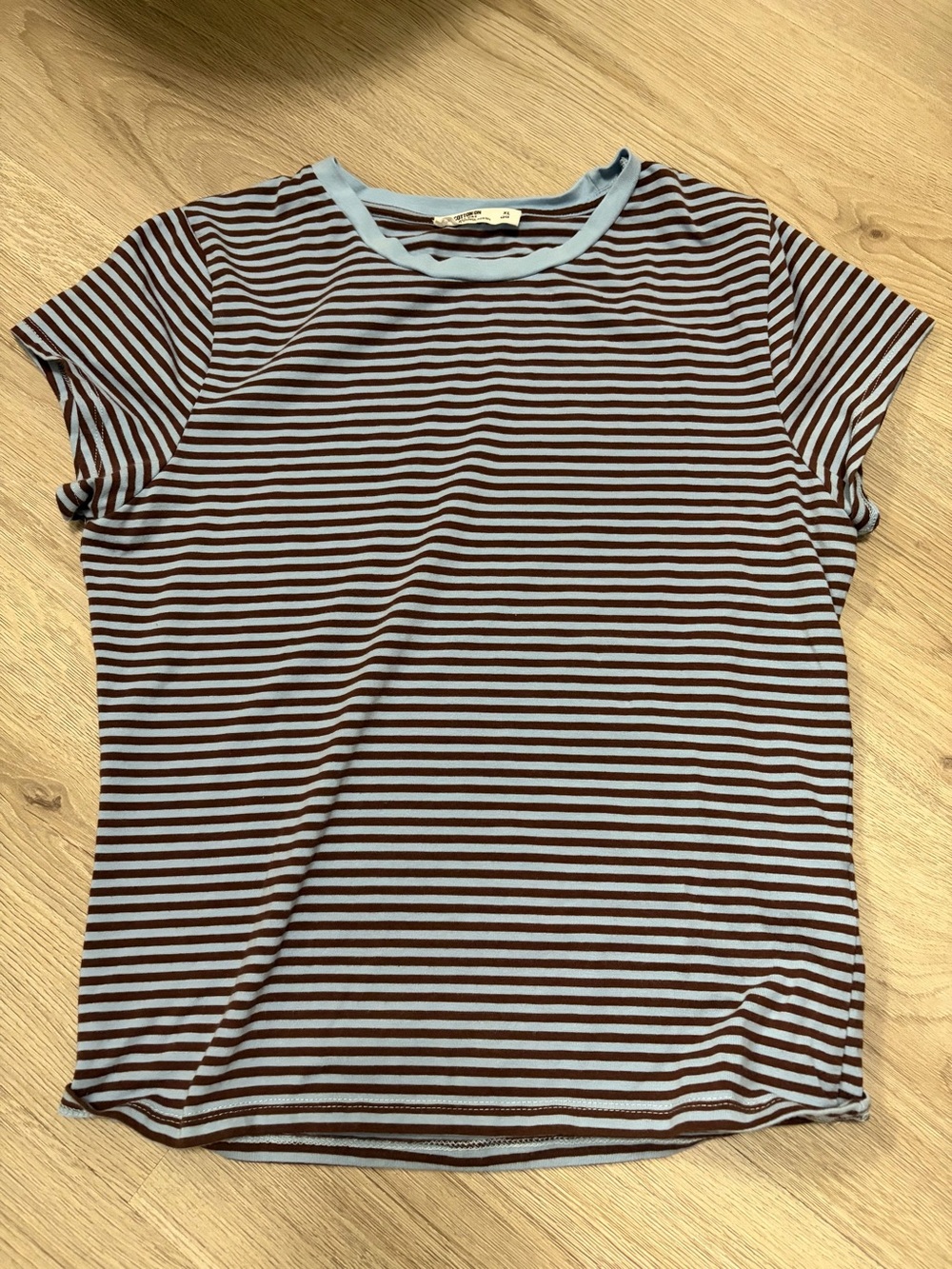 Striped Short Sleeve Tee in Light Blue and Brown